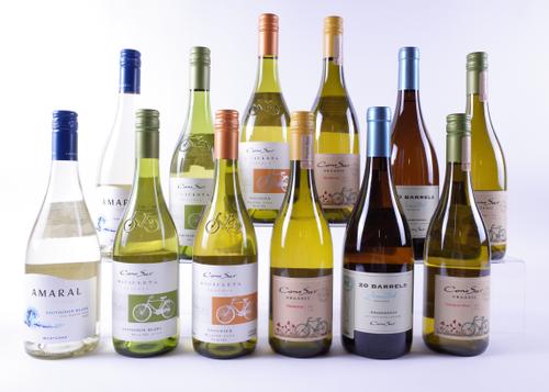 12 BOTTLES CHILEAN WHITE WINE