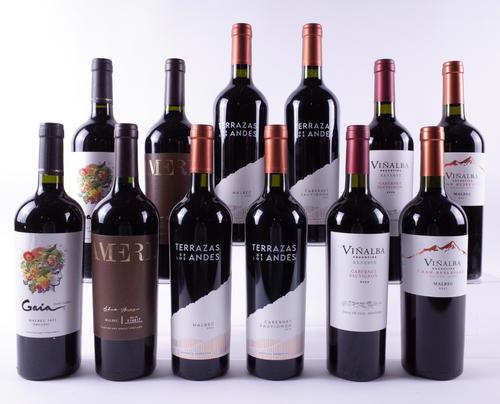 12 BOTTLES ARGENTINIAN RED WINE