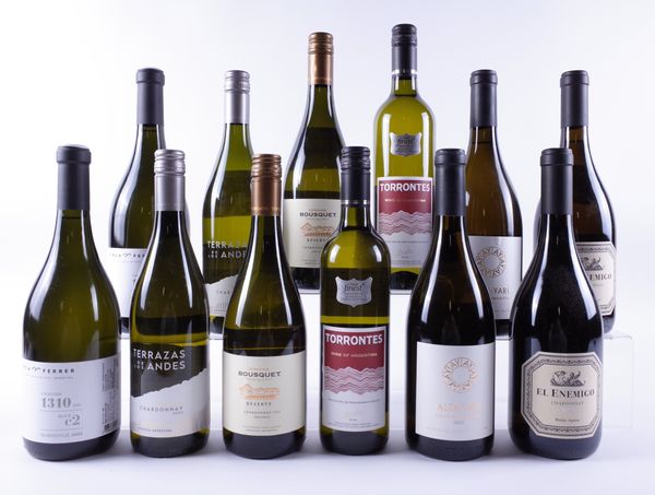 12 BOTTLES ARGENTINIAN WHITE WINE