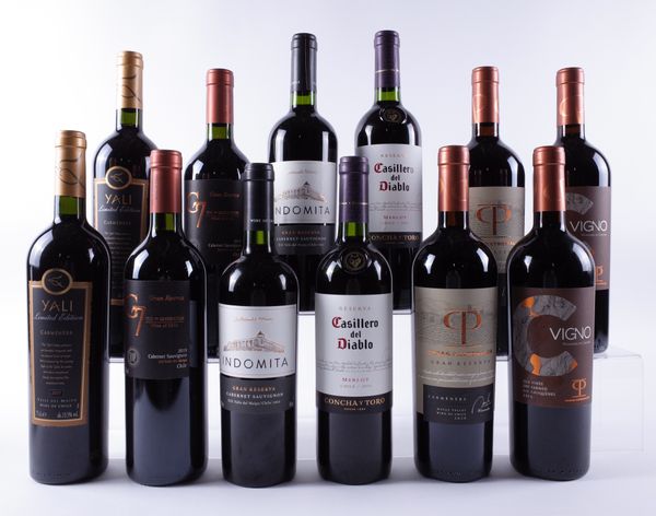 12 BOTTLES CHILEAN RED WINE