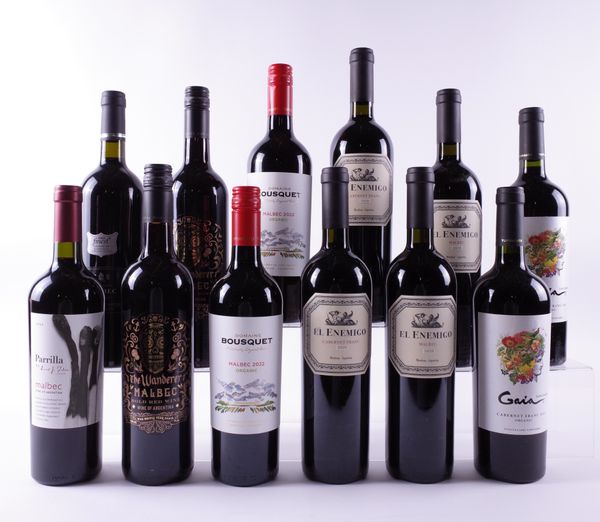 12 BOTTLES ARGENTINIAN RED WINE