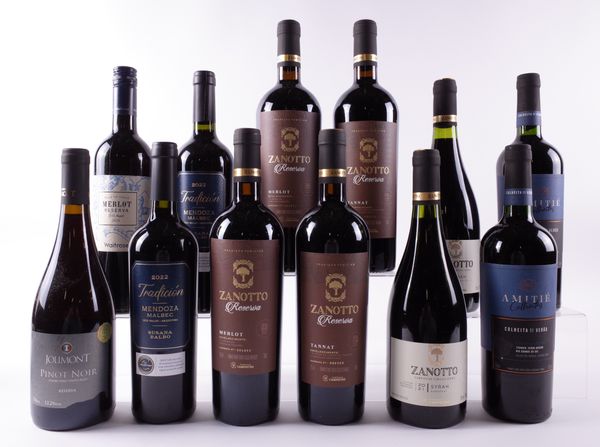 12 BOTTLES ARGENTINIAN AND BRAZILIAN RED WINE