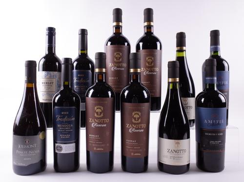12 BOTTLES ARGENTINIAN AND BRAZILIAN RED WINE