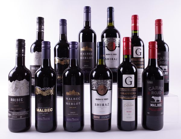 12 BOTTLES ARGENTINIAN RED WINE