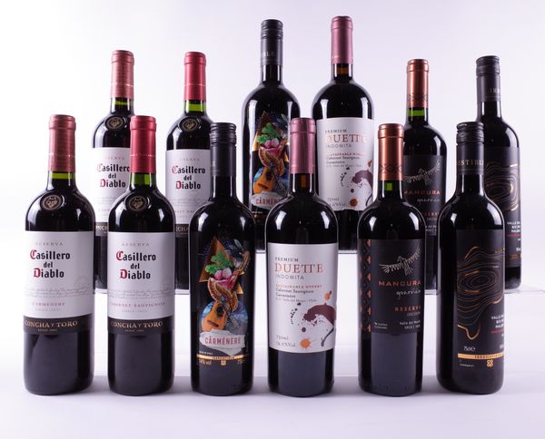 12 BOTTLES CHILEAN RED WINE