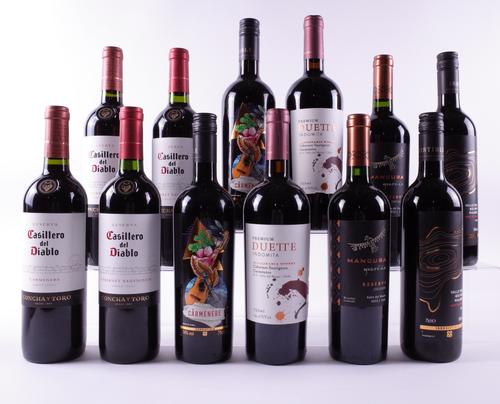 12 BOTTLES CHILEAN RED WINE