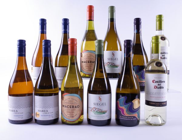 12 BOTTLES CHILEAN WHITE WINE