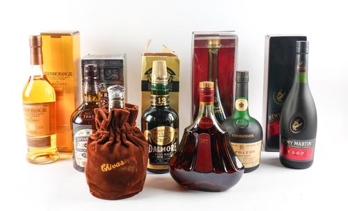 EIGHT BOTTLES OF WHISKY AND COGNAC TO INCLUDE DALMORE 12 YEAR OLD SCOTCH (8)