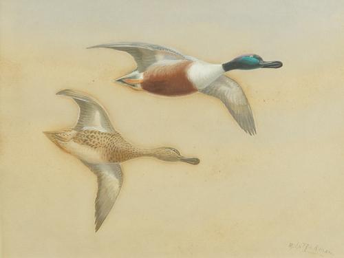 PHILIP RICKMAN (BRITISH, 1891-1982) (3)