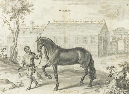 AFTER LUCAS EMIL VOSTERMAN (4)