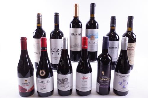 12 BOTTLES SPANISH RED WINE