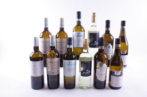 12 BOTTLES ITALIAN WHITE WINE