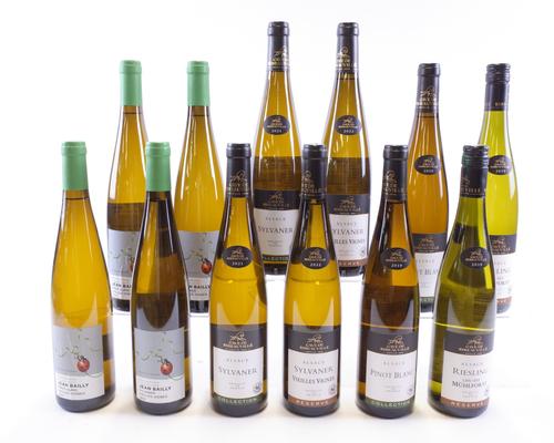 12 BOTTLES ALSATIAN WHITE WINE