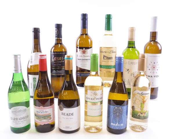 12 BOTTLES SPANISH WHITE WINE