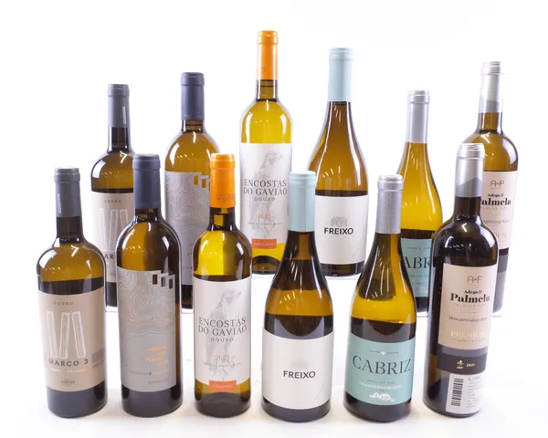 12 BOTTLES PORTUGUESE WHITE WINE