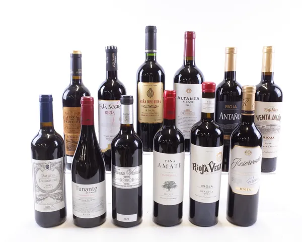 12 BOTTLES RIOJA