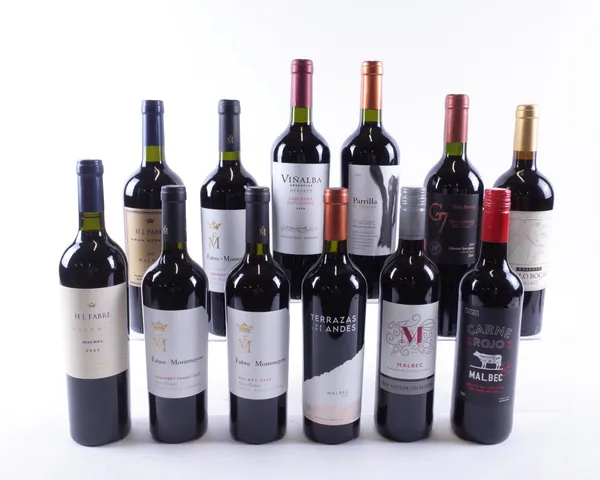 12 BOTTLES ARGENTINIAN AND CHILEAN RED WINE