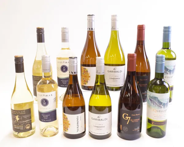 12 BOTTLES CHILEAN WHITE WINE