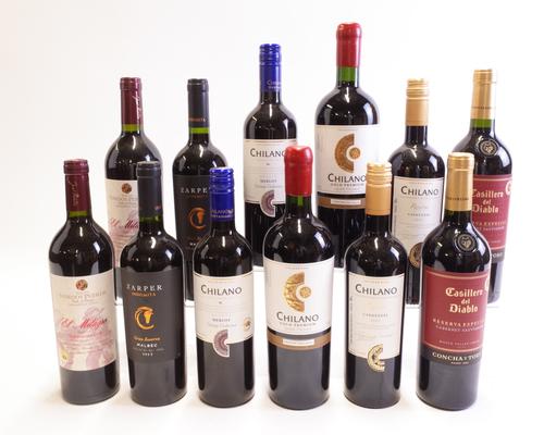 12 BOTTLES CHILEAN RED WINE