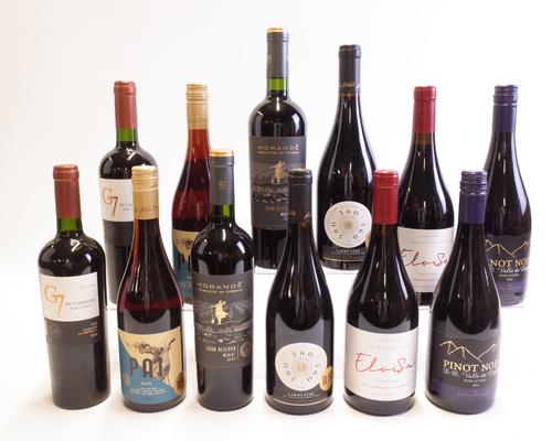 12 BOTTLES CHILEAN RED WINE