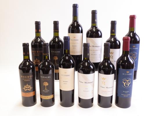 12 BOTTLES ARGENTINIAN RED WINE