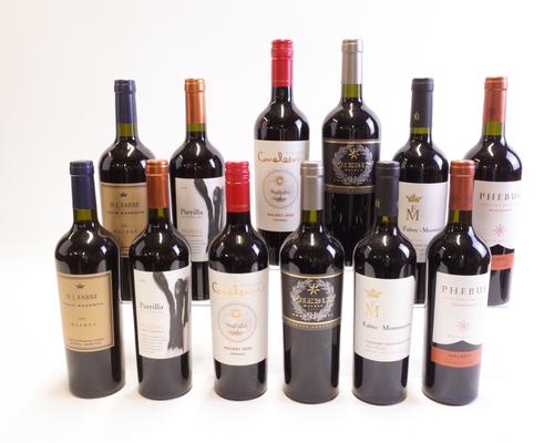 12 BOTTLES ARGENTINIAN RED WINE