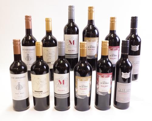 12 BOTTLES ARGENTINIAN MALBEC
