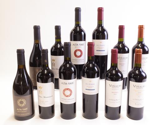 12 BOTTLES ARGENTINIAN RED WINE