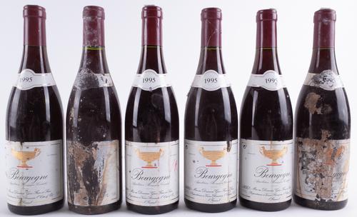 SIX BOTTLES BOURGOGNE ROUGE, DOMAINE GROS FRÈRE ET SOEUR 1995