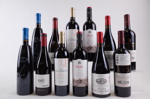 12 BOTTLES SPANISH RED WINE