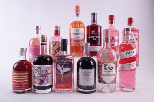 12 BOTTLES FLAVOURED GIN