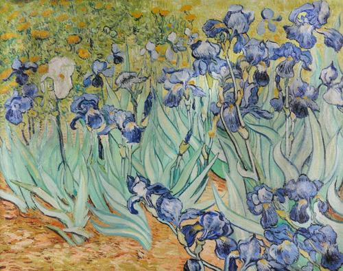 AFTER VINCENT VAN GOGH