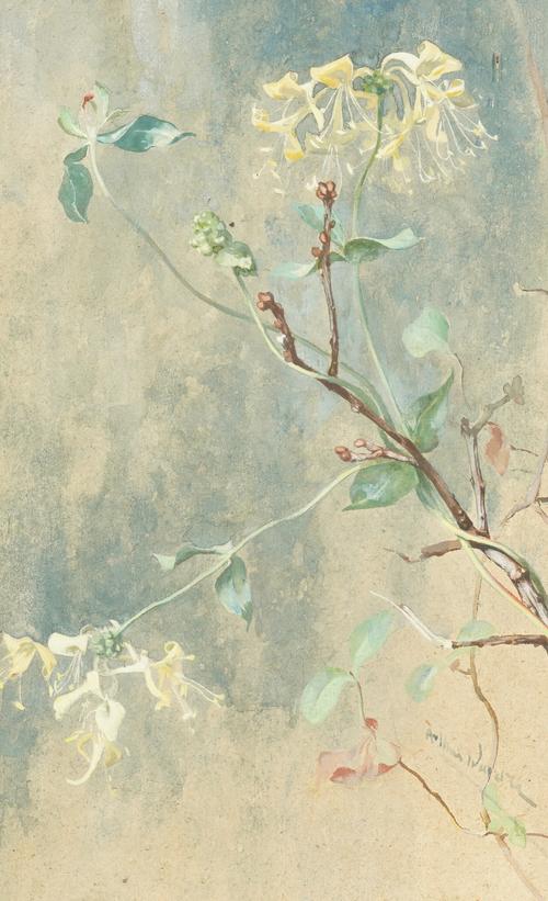 ARTHUR WARDLE (BRITISH, 1864-1949) (3)