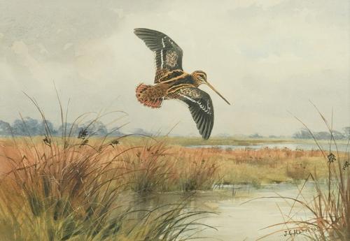 JOHN CYRIL HARRISON (BRITISH, 1898-1985)