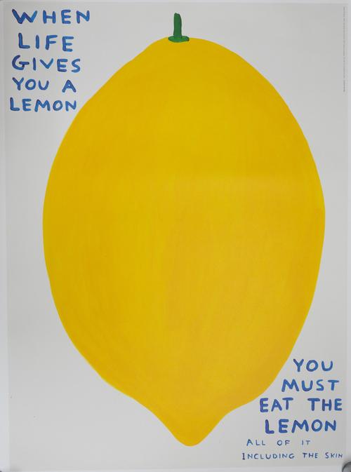 DAVID SHRIGLEY (BRITISH, B. 1968)