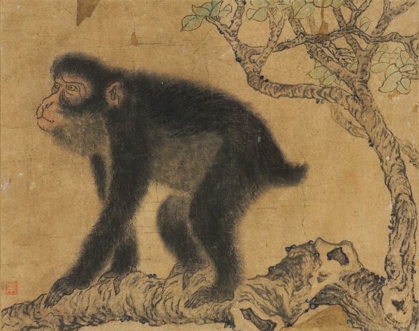 A CHINESE PAINTING OF A MACAQUE