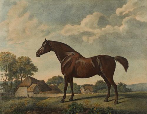 GEORGE TOWNLY STUBBS (BRITISH, 1756-1815) AFTER GEORGE STUBBS (4)