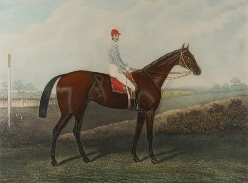 HUNT AND SON (BRITISH, 19TH CENTURY) (8)