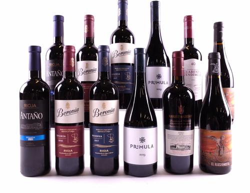 12 BOTTLES SPANISH RED WINE