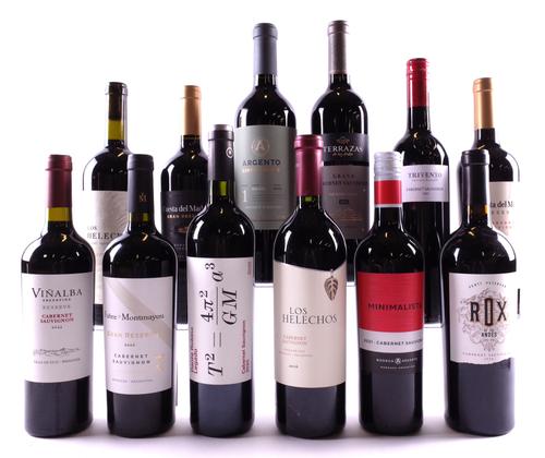 11 BOTTLES ARGENTINIAN CABERNET SAUVIGNON AND 1 MALBEC