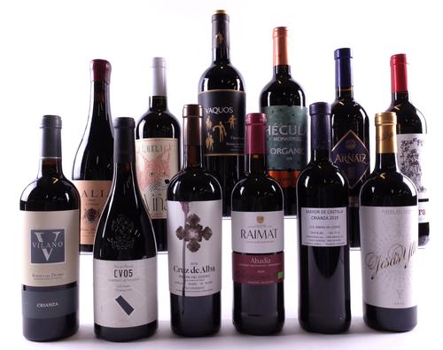 12 BOTTLES SPANISH RED WINE