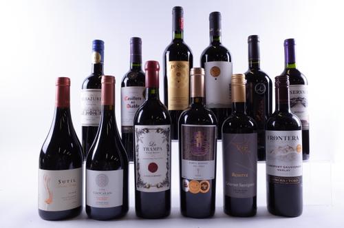 12 BOTTLES CHILEAN RED WINE