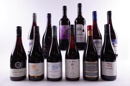 12 BOTTLES CHILEAN PINOT NOIR