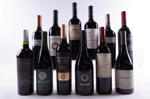 12 BOTTLES ARGENTINIAN RED WINE