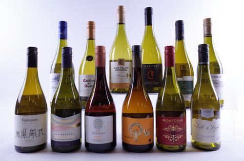 12 BOTTLES CHILEAN WHITE WINE
