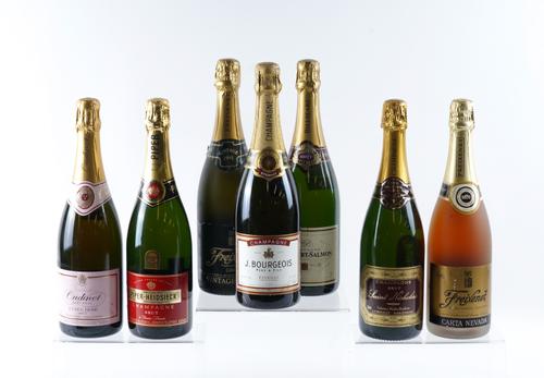 SEVEN BOTTLES OF CHAMPAGNE (7)