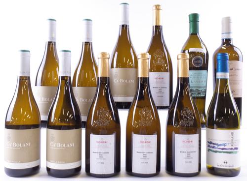 12 BOTTLES ITALIAN WHITE WINE