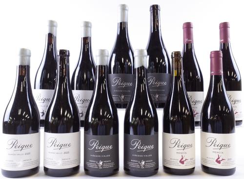 12 BOTTLES SPANISH RED WINE
