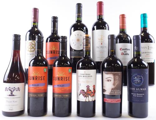 12 BOTTLES CHILEAN RED WINE