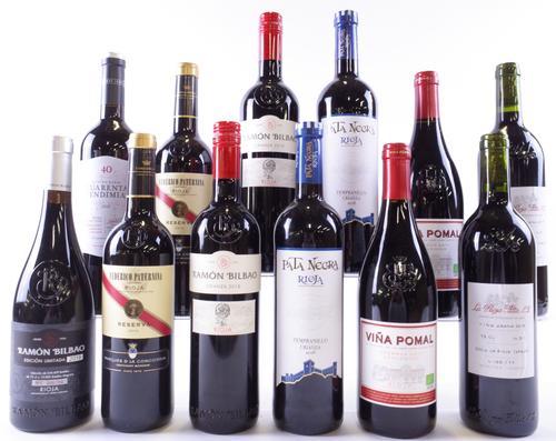 12 BOTTLES RIOJA